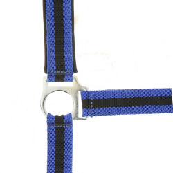 Cabezada Norton con forro de neopreno Azúl rey / negro