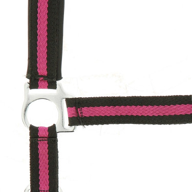 Cabezada Norton con forro de neopreno Negro / frambuesa