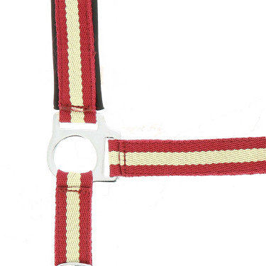 Cabezada Norton con forro de neopreno Rojo / crudo