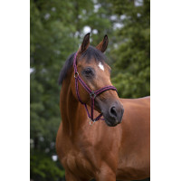 Cabezada Norton con forro de neopreno Roja Rojo