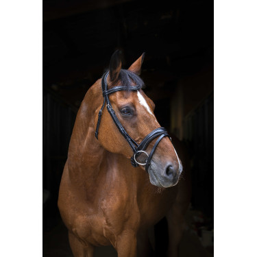 Bridon Eric Thomas Pro Wave Negro