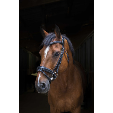 Cabezada de montar Eric Thomas Pro Design Negro