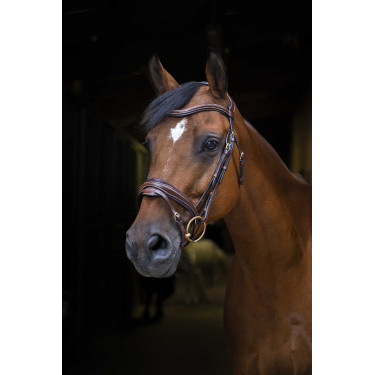 Cabezada de montar Eric Thomas Pro Design Havana Marrón