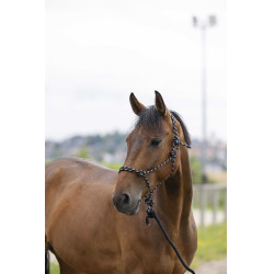 Cabezada etológica Norton + ramal Eco Negro / blanco / plata