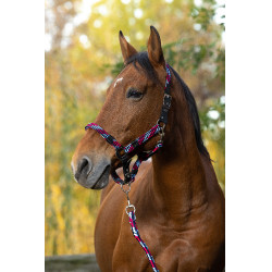 Cabezada + ramal Equitheme trenzado Fucsia / azul cielo / azul marino Rosa