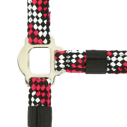 Cabezada + ramal Equitheme trenzado Fucsia / gris / negro Rosa Cabezada + ramal Equitheme trenzado Fucsia / gris / negro Rosa