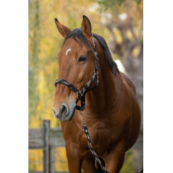 Cabezada + ramal Equitheme trenzado Beige / chocolate / negro Cabezada + ramal Equitheme trenzado Beige / chocolate / negro