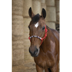 Cabezada etológica Norton Pearl Roja Rojo