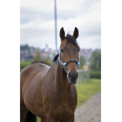 Cabezada etológica Norton Pearl Cielo azul