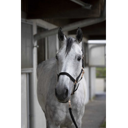 Cabezada + ramal Norton Roségold Negro Cabezada + ramal Norton Roségold Negro