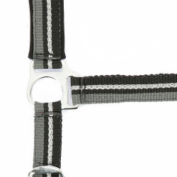 Cabezada + Cuerda de guía Norton Brillant Negro / gris / plata
