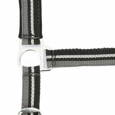 Cabezada + Cuerda de guía Norton Brillant Negro / gris / plata