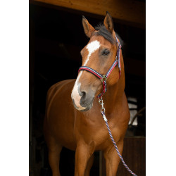 Cabezada + Cuerda de guía Norton Brillant Rojo / azul marino / plata