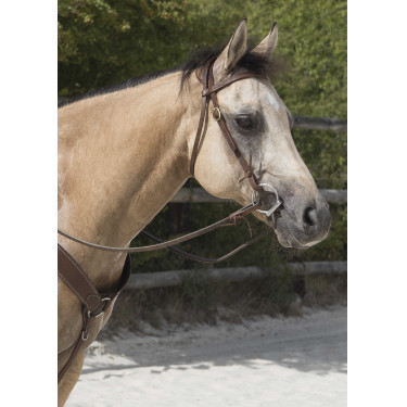 Cabezada de montar Westride by Franck Perret Colorado