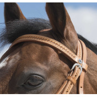 Cabezada de montar Westride by Franck Perret Aurora Avellana Marrón