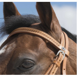 Cabezada de montar Westride by Franck Perret Aurora Avellana Marrón