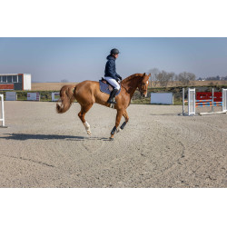 Chaqueta acolchada Pro Series Diagonal Azul marino Chaqueta acolchada Pro Series Diagonal Azul marino