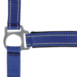 Cabezada de cuadra Norton "Reflective" Azul