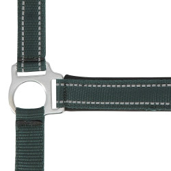 Cabezada de cuadra Norton "Reflective" Verde