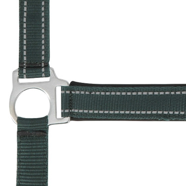 Cabezada de cuadra Norton "Reflective" Verde