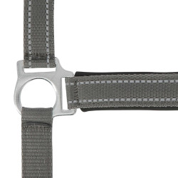 Cabezada de cuadra Norton "Reflective" Gris