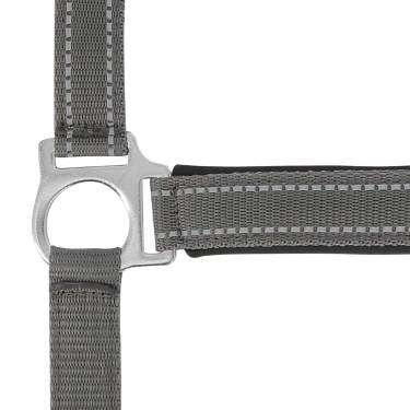 Cabezada de cuadra Norton "Reflective" Gris