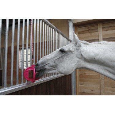 Bizzy Ball Likit Fucsia Rosa Bizzy Ball Likit Fucsia Rosa