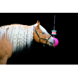 Likit Boredom breaker Fucsia Rosa