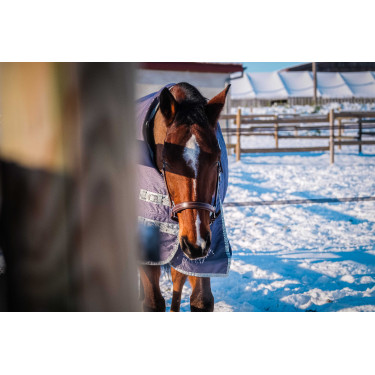 Manta Equithème TYREX 1200D reciclada Gris pardo Marrón