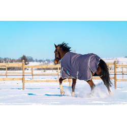 Manta Equithème TYREX 1200D reciclada Gris pardo Marrón