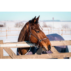 Manta Equithème TYREX 1200D reciclada Gris pardo Marrón