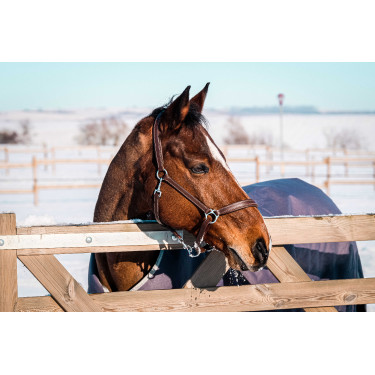 Manta Equithème TYREX 1200D reciclada Gris pardo Marrón