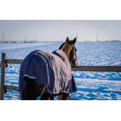Manta Equithème TYREX 1200D reciclada Gris pardo Marrón