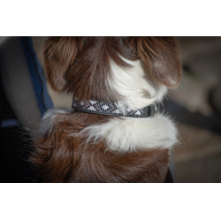 Collar para perro Pénélope Pearl Negro / blanco