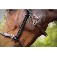 Cabezada Pénélope éthologique Habano / negro Marrón