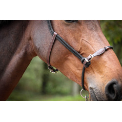 Cabezada Pénélope éthologique Habano / negro Marrón