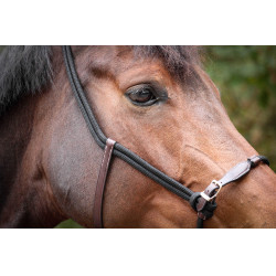 Cabezada Pénélope éthologique Habano / negro Marrón