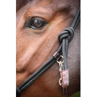 Cabezada Pénélope éthologique Havana Marrón