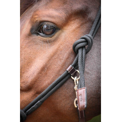 Cabezada Pénélope éthologique Habano / negro Marrón