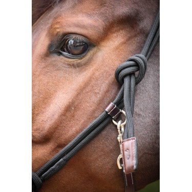 Cabezada Pénélope éthologique Habano / negro Marrón