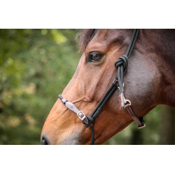 Cabezada Pénélope éthologique Habano / negro Marrón