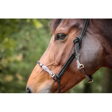 Cabezada Pénélope éthologique Habano / negro Marrón