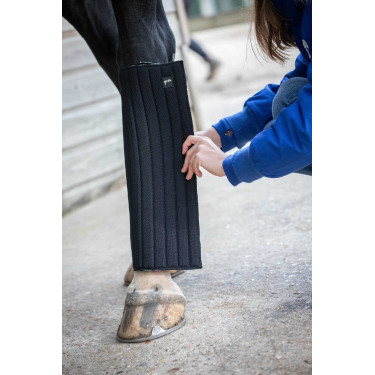 Bajovendas Pénélope Soft