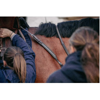 Collar Martin Pénélope Havana Marrón