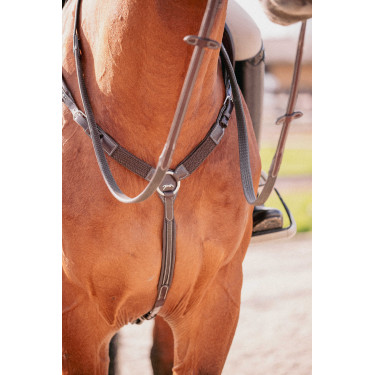 Collar Martin Pénélope Havana Marrón