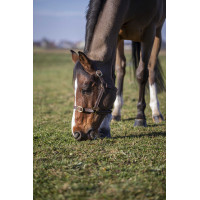 Cabezada Norton Club Cuir Havana Marrón