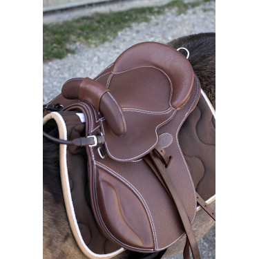 Silla de niños Guy Cantin Evolution éducative Havana Marrón