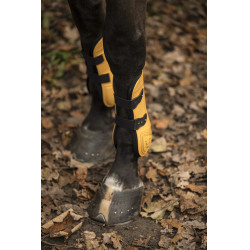 Juego de vendas y protectores de menudillo Lami-Cell LC Miel / dorado Amarillo