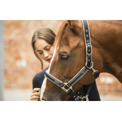 Cabestro Lami-Cell Elegance Marino / champán Azul