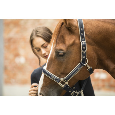 Cabestro Lami-Cell Elegance Marino / champán Azul